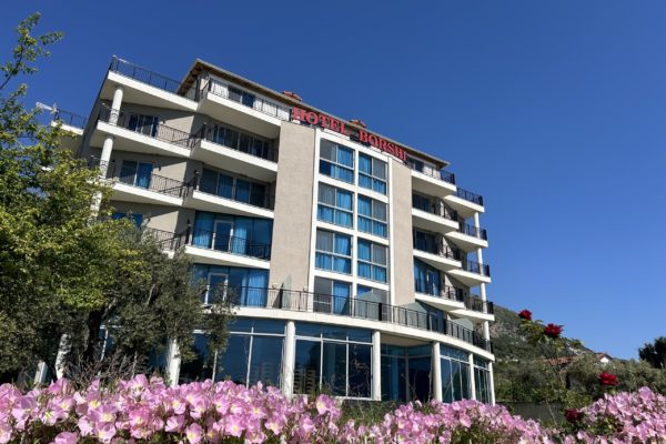 Hotel Borshi