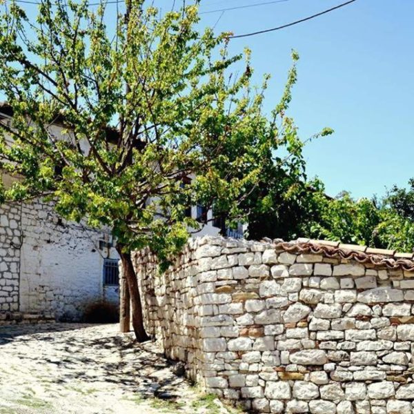 Guest House Vasili