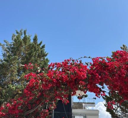Noemi’s Hotel Ksamil