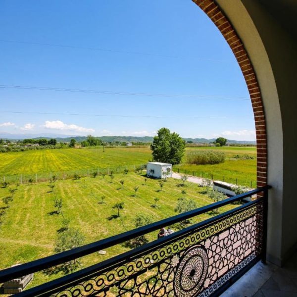 Olive Farmhouse