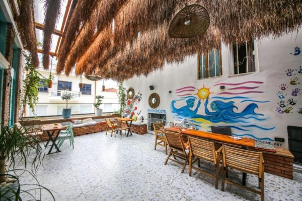 Vega 43 Hostel