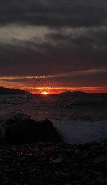 Palmanova Beach Mardok
