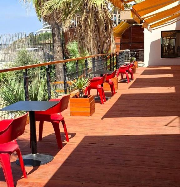 Palmanova Beach Mardok