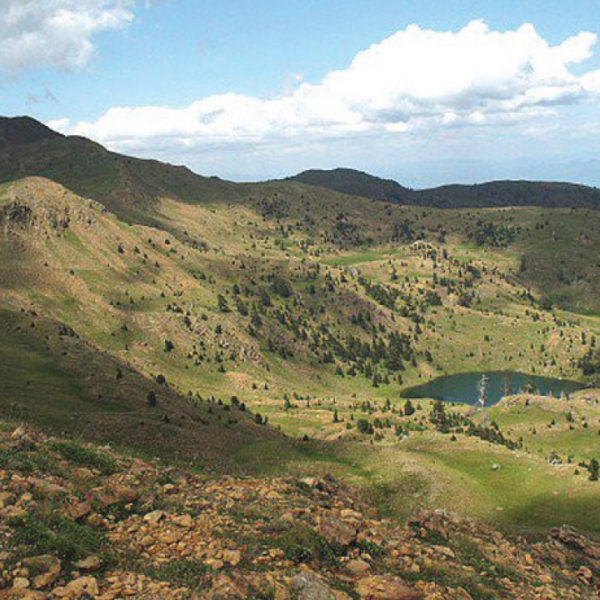 Hani i Taulant Shahinit