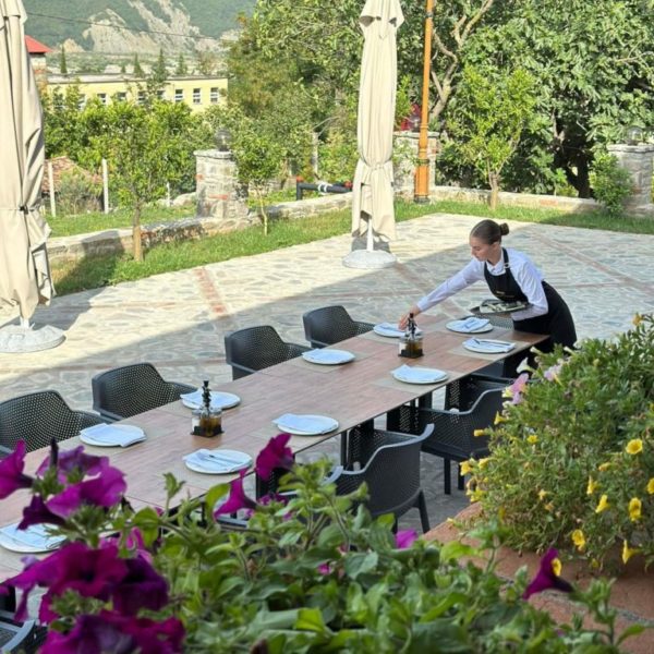 Hani i Taulant Shahinit