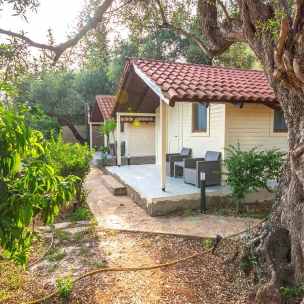 Lodges Shen Nikolla